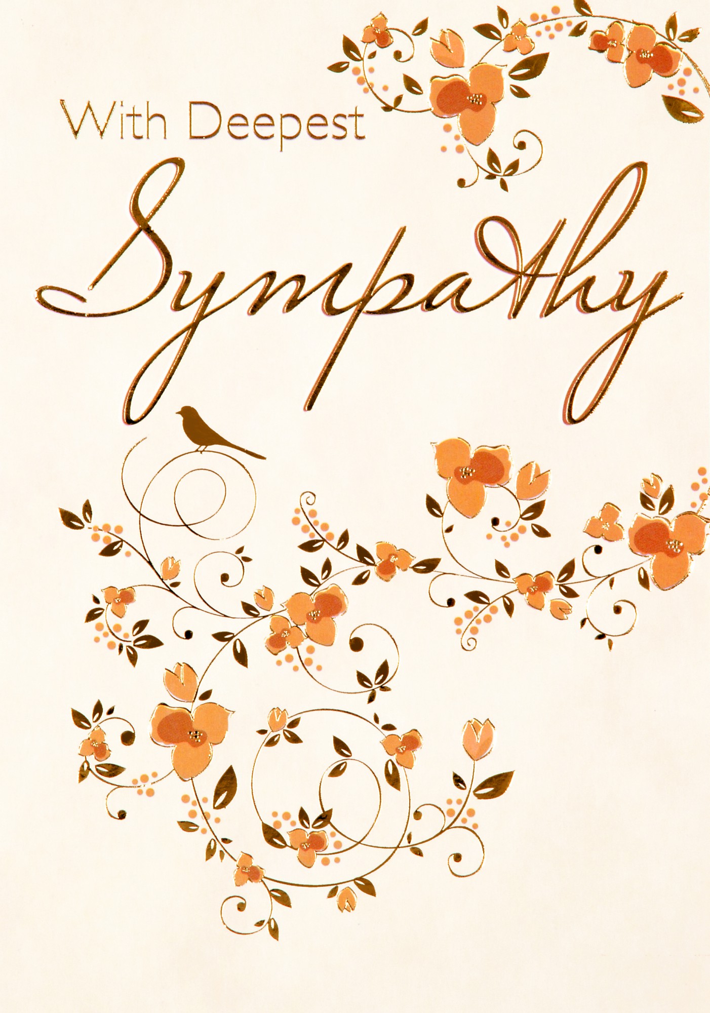 Sympathy & Get Well Cards Archives LP Wholesale
